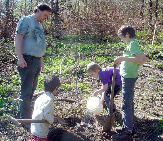 Angiessen: Nach dem Einsetzen des Baums gießt Jannik an, daneben Matthias Kuprian mit seinen Söhnen Jan und Luca (Foto: Sibylle Winkel)
