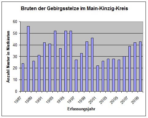 Bruten der Gebirgsstelze im Main-Kinzig-Kreis