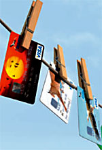 Stunde der Gartenvögel